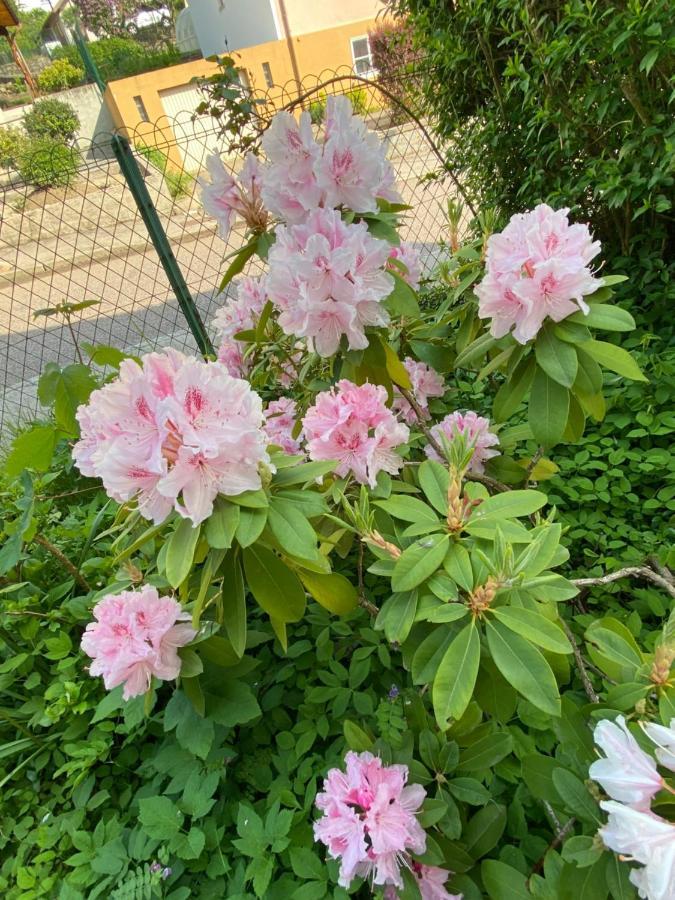 제라르메르 Les Brimbelles 아파트 외부 사진